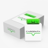 cargenta-brain-obd2-box4